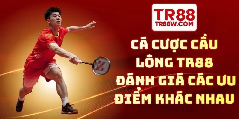 cá cược cầu lông TR88