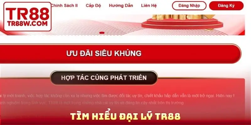 Tìm hiểu đại lý TR88